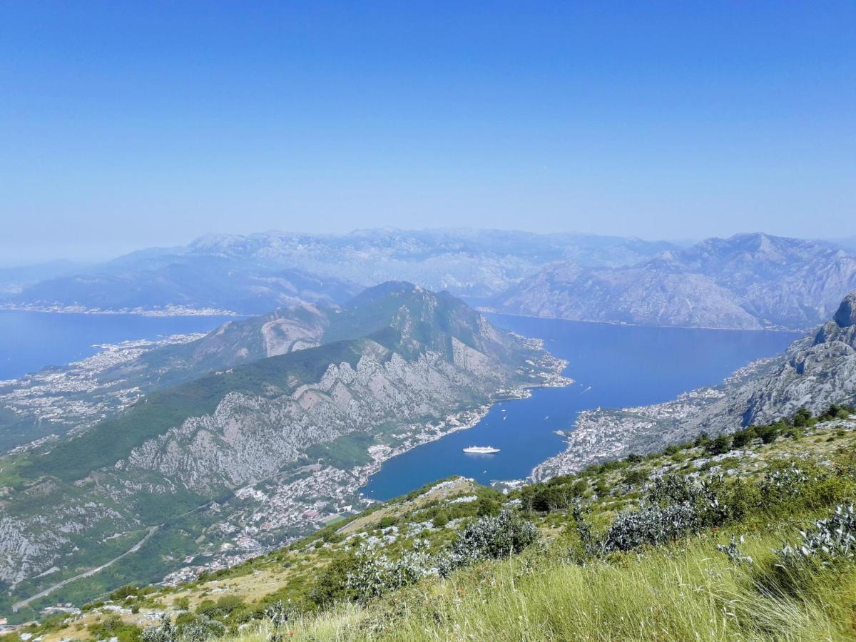 La Rocca Apartment Old Town Kotor Eksteriør billede